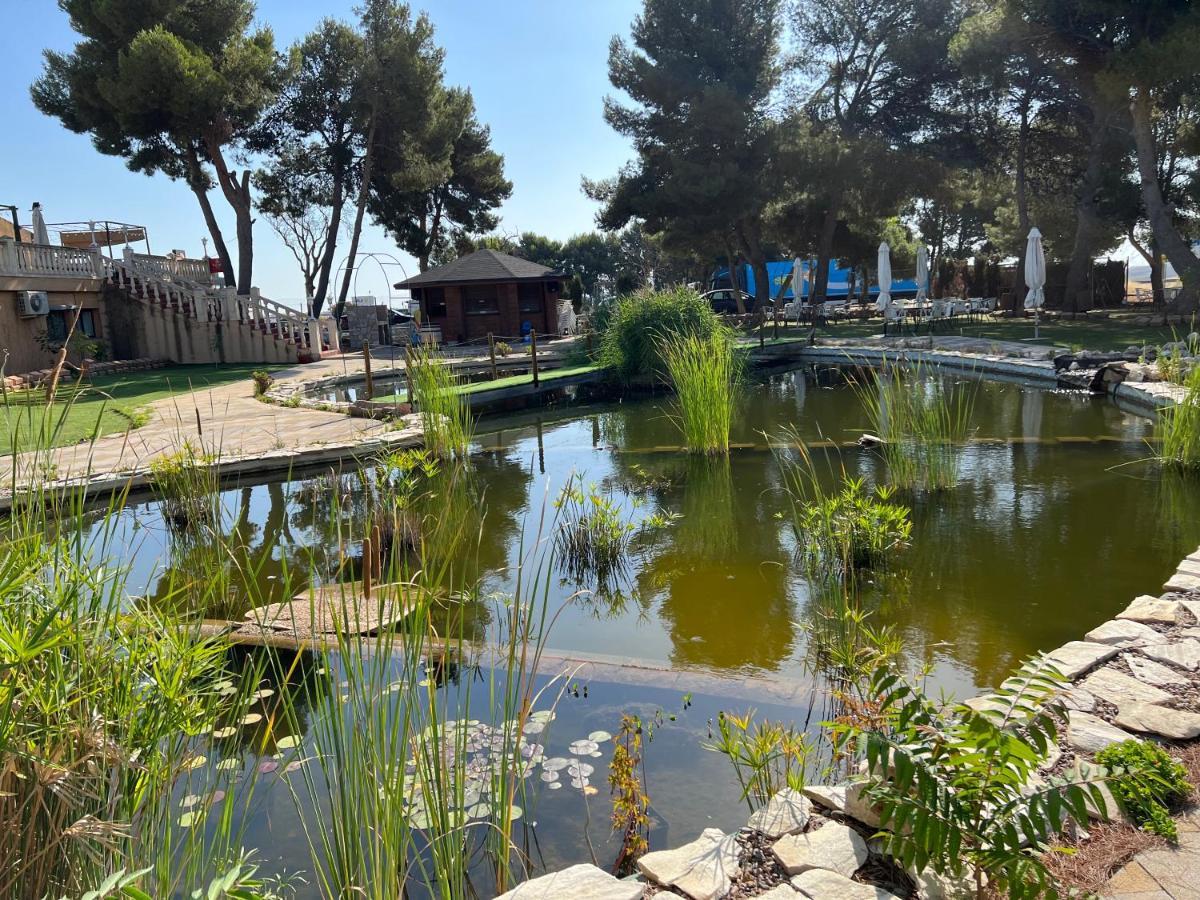Hotel El Cisne Zaragoza Eksteriør billede